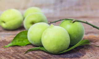 青梅属于发物吗（青梅是发物么）