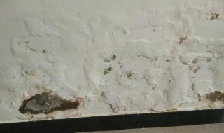墙面反碱怎么办 墙面泛碱的处理办法