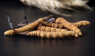虫草发霉还能吃吗 虫草发霉还能吃吗,吃了会怎样