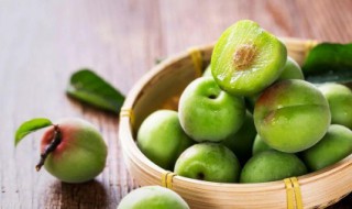 刚刚摘下来的青梅可以吃吗 摘下来变黄的青梅可以吃吗