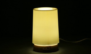 加湿器可以用香水代替精油吗 加湿器里面是否可以加香水或者精油