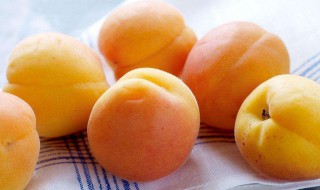 吃了杏子不能喝凉水还是热水 杏子吃完不能喝凉水