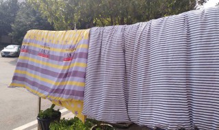 晒被子感觉闻到的阳光味道是什么（晒被子能闻到一股阳光的味道是什么味道）