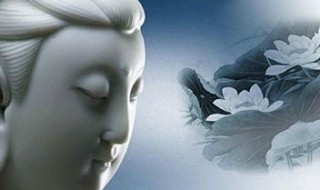 性空山歌词什么意思（性空山的歌是什么故事）