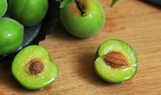 孕妇可以吃青梅吗（孕妇可以吃青梅吗对胎儿有影响吗）