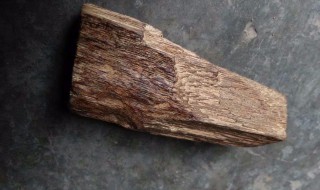 沉香木的鉴别 沉香木的鉴别真假