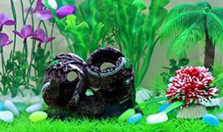 石头鱼的鱼缸摆放位置 石头鱼缸放在什么位置最好