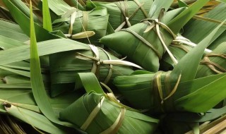 端午节粽子叶用什么叶子（端午节粽子叶是什么叶）