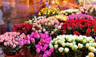 高铁可以带鲜花上去吗 高铁可以带鲜花上去吗现在