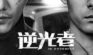 逆光者演员表（逆光者演员表大全）