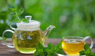 绿茶可以做奶茶吗 牛奶加绿茶可以做奶茶吗