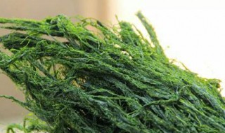 苔条是什么（苔条是什么是海苔吗?）