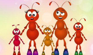 家里有大水蚁怎么处理（家里有大水蚁怎么处理掉）