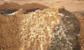 羊粪如何自然发酵 羊粪如何发酵?