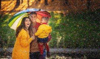 雨伞结构（雨伞结构图解怎么修）