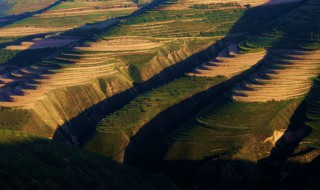 陇原是哪里（陇西 是哪里）
