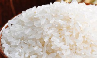 冲泡米饭的原理（冲泡米饭的原理和方法）