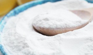 小苏打是不是面起子 小苏打是不是面起子能蒸馒头