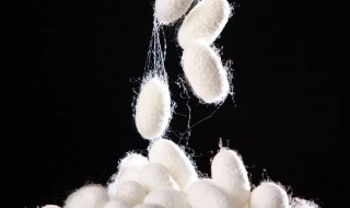 桑蚕丝往身上吸怎么办（桑蚕丝抽丝怎么办）