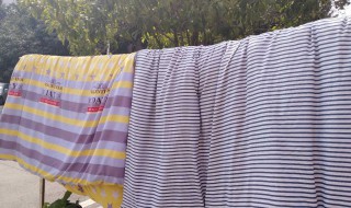 晒被子的味道（晒被子的味道是什么味）