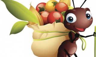 家里出现会飞的蚂蚁怎么办（家里出现会飞的蚂蚁怎么办啊）