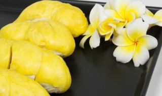 榴莲旺季是几月份 榴莲的旺季是几月份