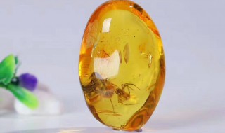 琥珀如何清洗（琥珀如何清洗抛光）