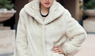 如何清洗貂皮大衣 如何清洗貂皮大衣灰尘