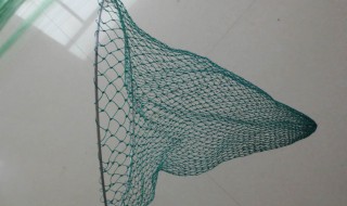 渔网原理（渔网原理动画演示）