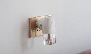 厕所蚊子的根治小妙招（如何治蚊子小妙招）