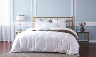 蚕丝被称为（蚕丝被称为(  锦衣华裳 衣之贵族 羽衣之首 玄衣纁裳）