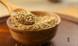 荞麦是什么 荞麦是什么科