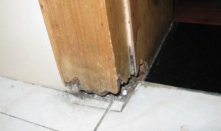 门框生虫是什么虫（门框生虫是什么虫怎什灭虫）