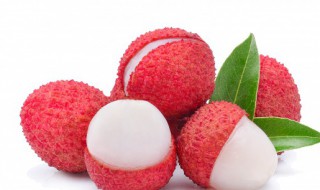 荔枝寓意 荔枝寓意和象征