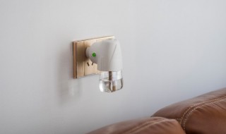 什么东西可以驱蚊 什么东西可以驱蚊又对人体无害