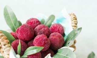 杨梅能放多久（杨梅放多久不能吃）