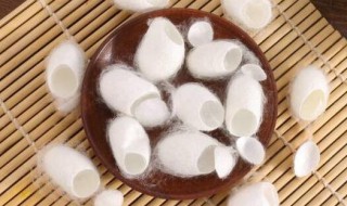 蚕茧是由几根蚕丝组成 蚕茧是由几根蚕丝组成的?