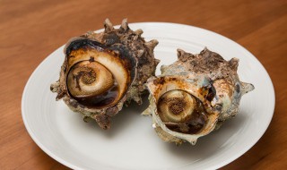 白灼海螺要煮多久 白灼海螺要煮多久窍门
