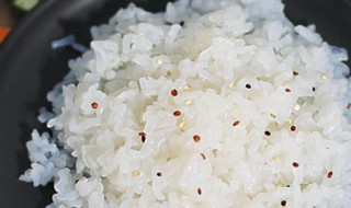 魔芋米可以长期代替米饭吗 魔芋米可以长期代替米饭吗
