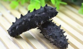 如何清洗干海参 海参干如何清洗图解