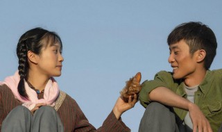 山海情让人深入人心的笑点（山海情让人深入人心的笑点是什么）