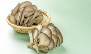 蘑菇肉丝汤的家常做法（肉丝蘑菇汤怎么做好吃）