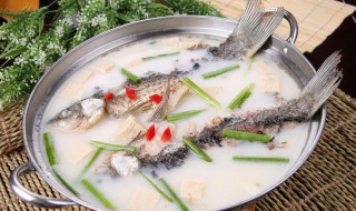 豆腐鲫鱼汤的家常做法 豆腐鲫鱼汤怎样做