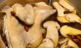 小母鸡炖汤的做法大全（小母鸡炖汤的做法大全窍门）