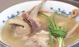 手术后炖鸽子汤的做法 手术后炖鸽子汤的做法视频