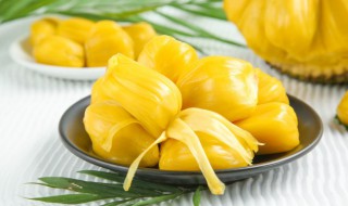 开了的菠萝蜜怎么保存 开了的菠萝蜜怎么保存最好