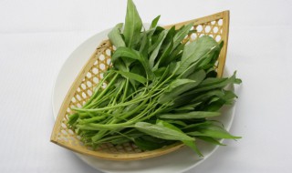 青菜能放冰箱保鲜吗（青菜能放冰箱保鲜吗冬天）