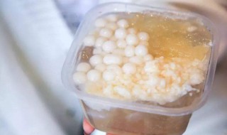没有冰箱怎么做冰粉 做冰粉不放冰箱可以凝固吗