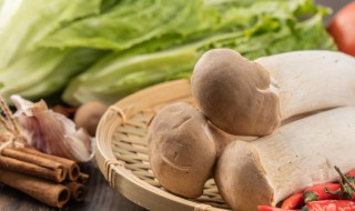杏鲍菇可以放在冰箱几天（杏鲍菇可以放在冰箱几天吃吗）