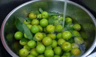 脆李怎么腌制（脆李怎么腌制好吃）